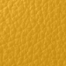 Royal 29176 Sun