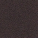 BN 21